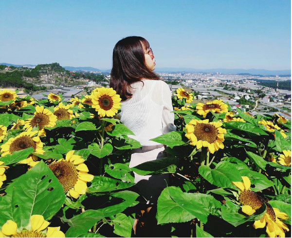 villa du lịch đà lạt, tìm biệt thự du lịch đà lạt,địa chỉ villa cho thuê du lịch ở đà lạt, Biệt thự du lịch Uyên Khang, biệt thự đà lạt cho thuê theo ngày, biệt thự đà lạt cho thuê dài hạn, villa du lịch đà lạt cho thuê, 3 biệt thự du lịch đà lạt không thể bỏ qua, biệt thự đà lạt cho thuê du lịch, top 5 villas được yêu thích nhất ở đà lạt,top 5 villa cho thuê tại đà lạt,villa du lịch đà lạt, villa cho thue da lat,villa cho thuê du lịch ở đà lạt, villa đà lạt, villa đà lạt gần chợ, thue khach san villa dalat, villa da lat du lich, kinh nghiệm thuê biệt thự ở đà lạt, du lịch đà lạt giá rẻ, tham quan du lịch đà lạt, tự túc du lịch đà lạt, thăm thú đà lạt, biệt thự cho thuê du lịch ở đà lạt, biệt thự đà lạt, biet thu da lat, biet thu nghỉ duong cho thu da lat, uyên khang villa, biệt thự cho thuê thoe ngày, biệt thự cho thuê du lịch, thuê biệt thự du lịch đà lạt, villa cho thuê theo ngày, villa du lịch giá rẻ, biệt thự đà lạt cho thuê dài hạn, biệt thự đà lạt đẹp, biệt thự cho thuê nguyên căn ở đà lạt, biệt thự cho thuê nguyên căn đà lạt, thuê nhà nguyên căn du lịch ở đà lạt, khách sạn đà lạt, khách sạn đà lạt giá rẻ gần trung tâm, gia khach san o da lat, villa ở đà lạt, thuê nhà du lịch đà lạt, biet thu cho thue dalat, thuê villa ở đà lạt, khách sạn đẹp giá rẻ ở đà lạt, villa cho thuê ở đà lạt, những khách sạn giá rẻ ở đà lạt, nhà nghỉ ở đà lạt giá rẻ, biệt thự cho thuê giá rẻ ở đà lạt, biệt thự đẹp ở đà lạt, ban biet thu da lat, khach san tot o da lat, nhà nghĩ ở đà lạt, villa đẹp o dalat