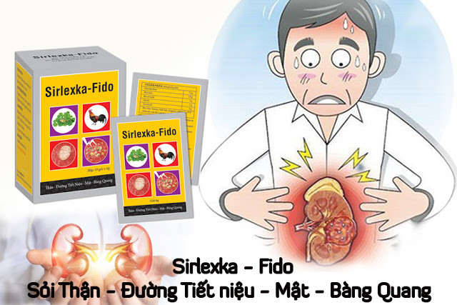 Thực phẩm phòng ngừa và hỗ trợ điều trị các bệnh lý sỏi thận - Sirlexka - Fido