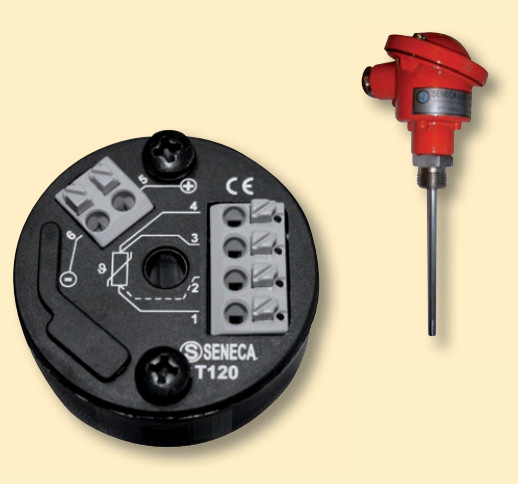 Hình bộ chuyển đổi T120 gắn trực tiếp trên cảm biến PT100 dạng củ hành.