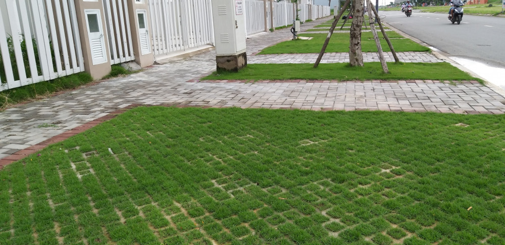 Nhà Vườn Đức Tiến Phát Thi công trồng cỏ cho Khu dân cư Khang Điền Bình Chánh 