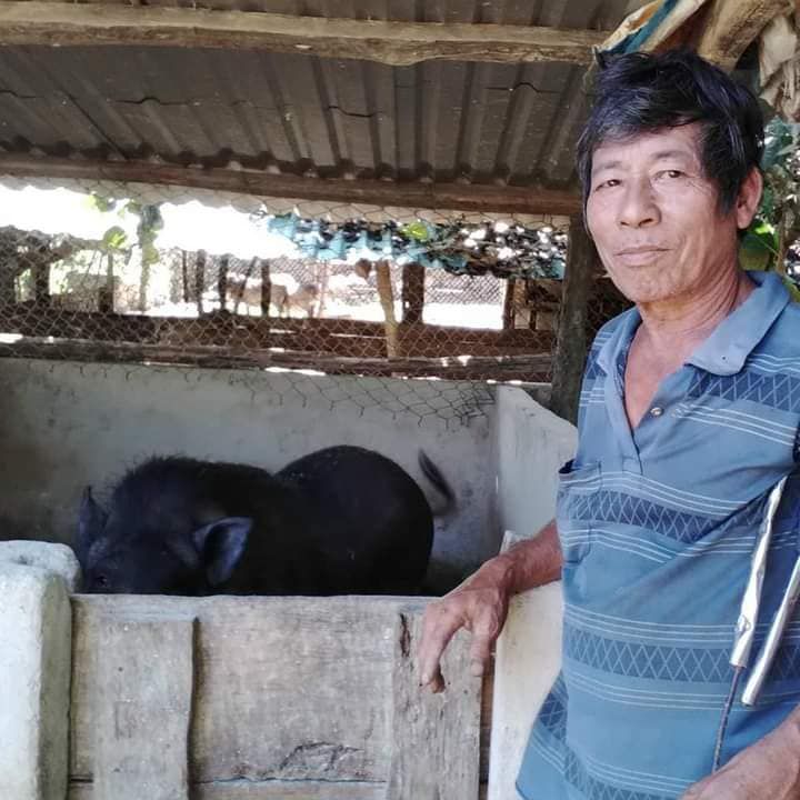 Trang trại heo rừng lợn rừng giống từ nhà Ông Am Lâm Đồng