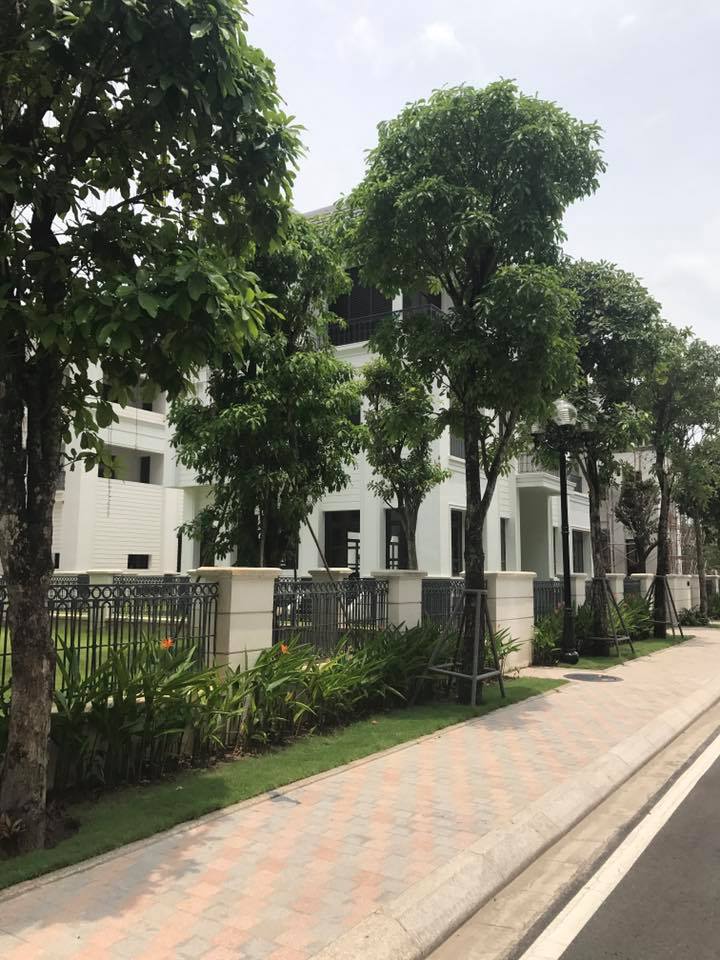 Những điều cần lưu ý trước khi ký vào hợp đồng thuê nhà