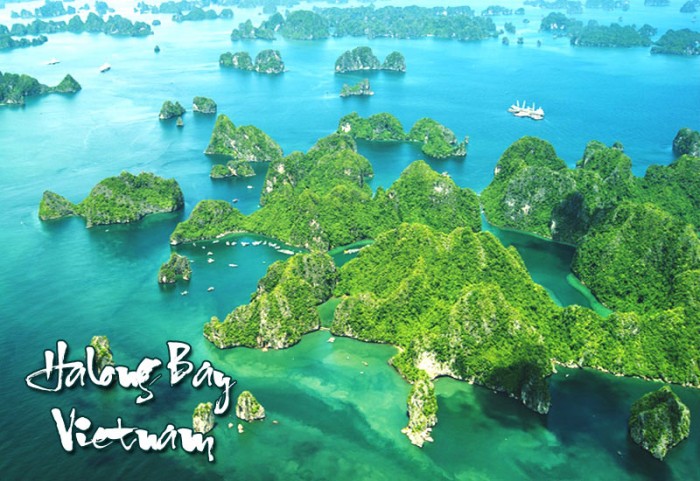 Chương trình tour du lịch Hạ Long Cát bà 4 ngày 3 đêm Litchee Travel