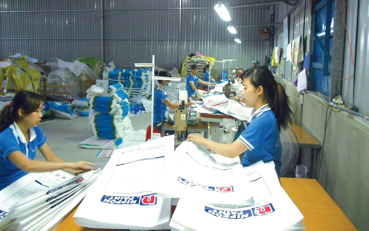 Hiệu quả tiếp thị từ việc phát triển mẫu mã bao bì