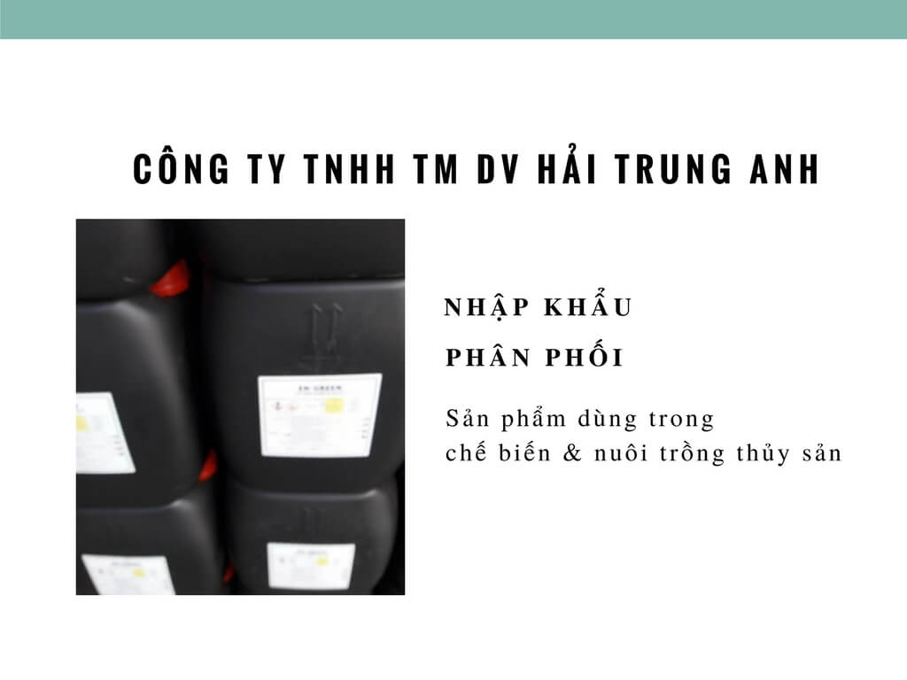 Công ty TNHH TM DV Hải Trung Anh