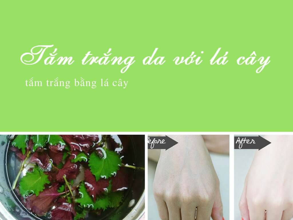 Da trắng rạng ngời chỉ trong 1 tuần nếu dùng lá tía tô để tắm đúng cách