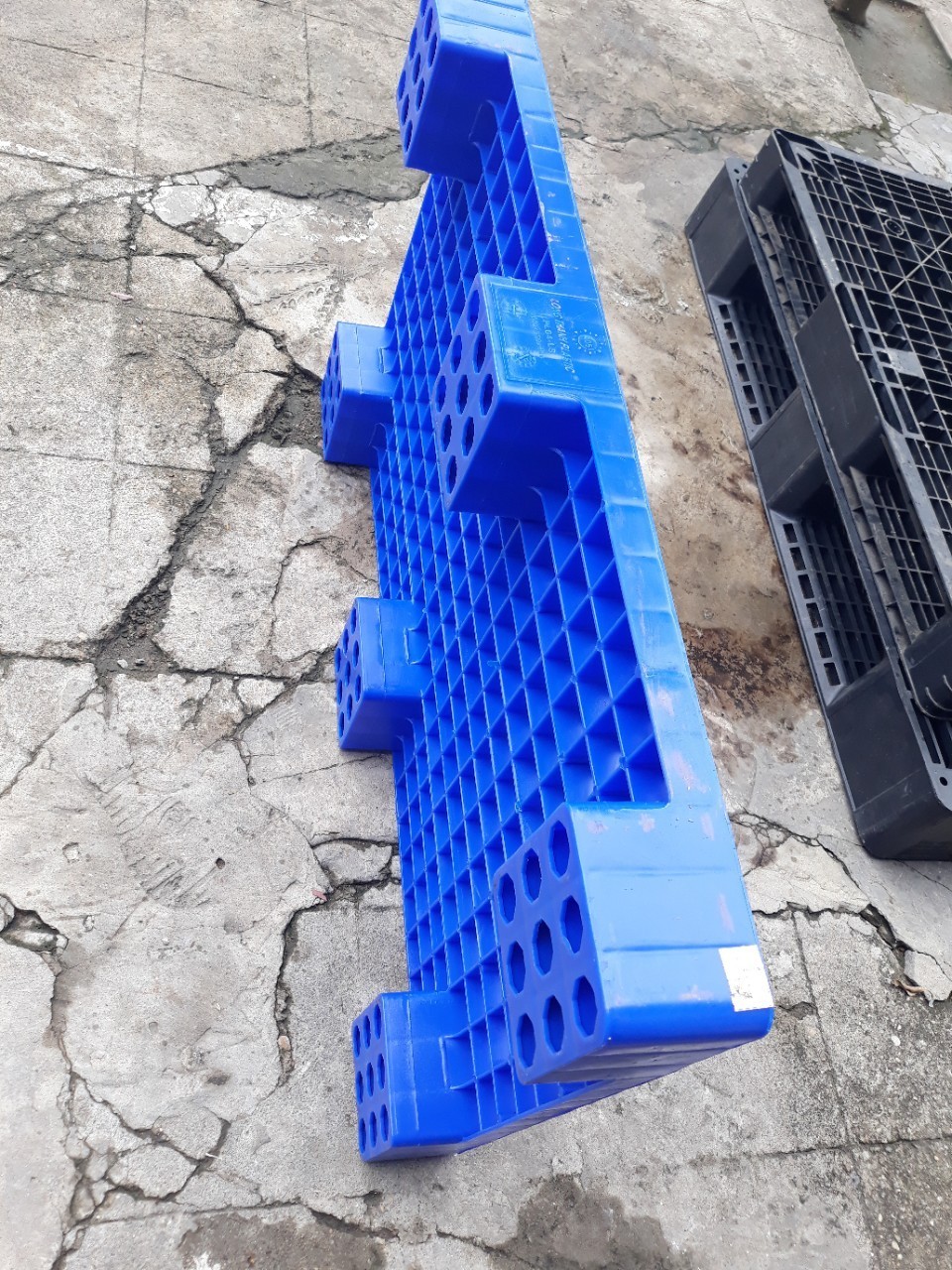 Pallet nhựa đã qua sử dụng Pallet nhựa đã qua sử dụng