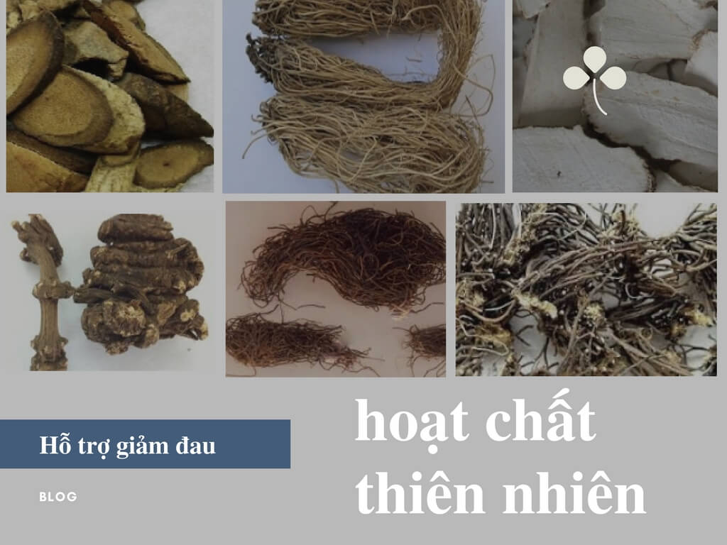 Hoạt chất thi&ecirc;n nhi&ecirc;n tốt cho việc giảm đau