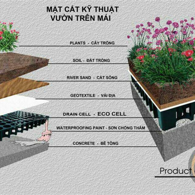 Mặt cắt kỹ thuật vườn tr&ecirc;n m&aacute;i