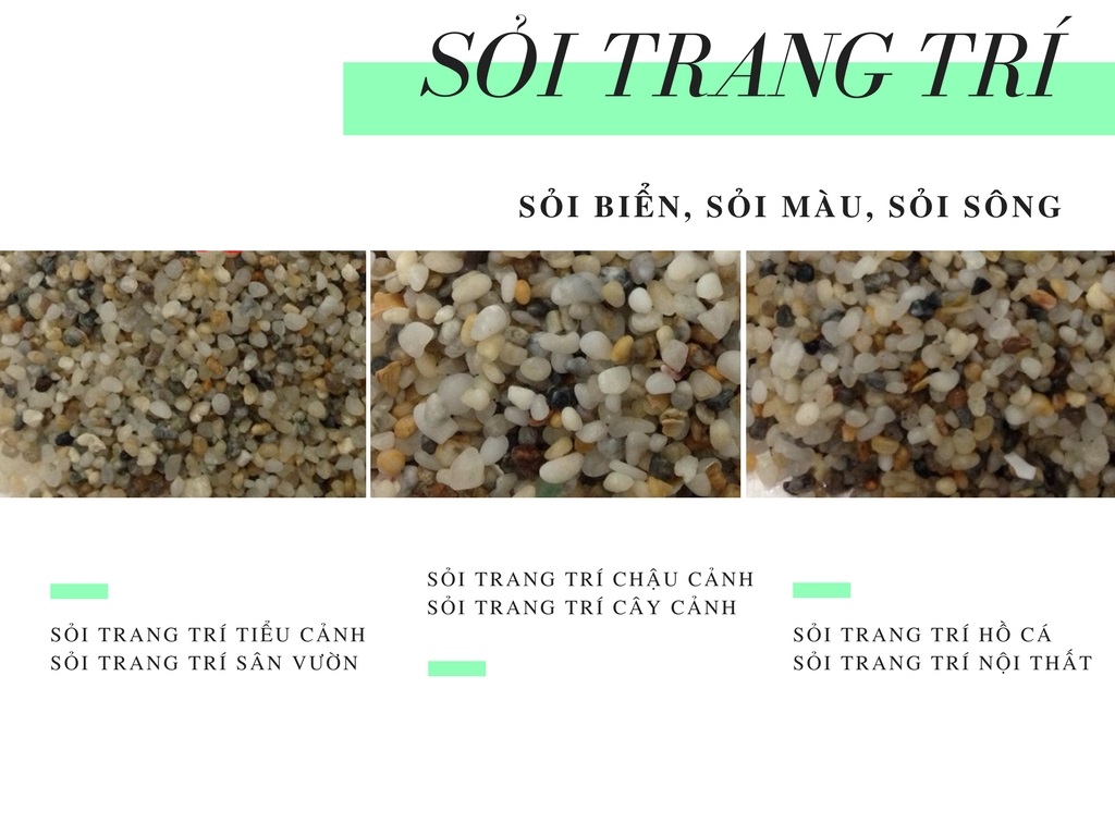 Sỏi trang tr&iacute; - kinh doanh sỏi trang tr&iacute;