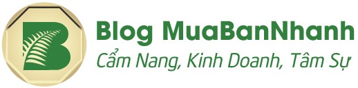 Giới thiệu Pa lăng cân bằng Tigon TW 5, 81230, Hoàng Hằng, Blog MuaBanNhanh, 16/05/2018 11:28:26