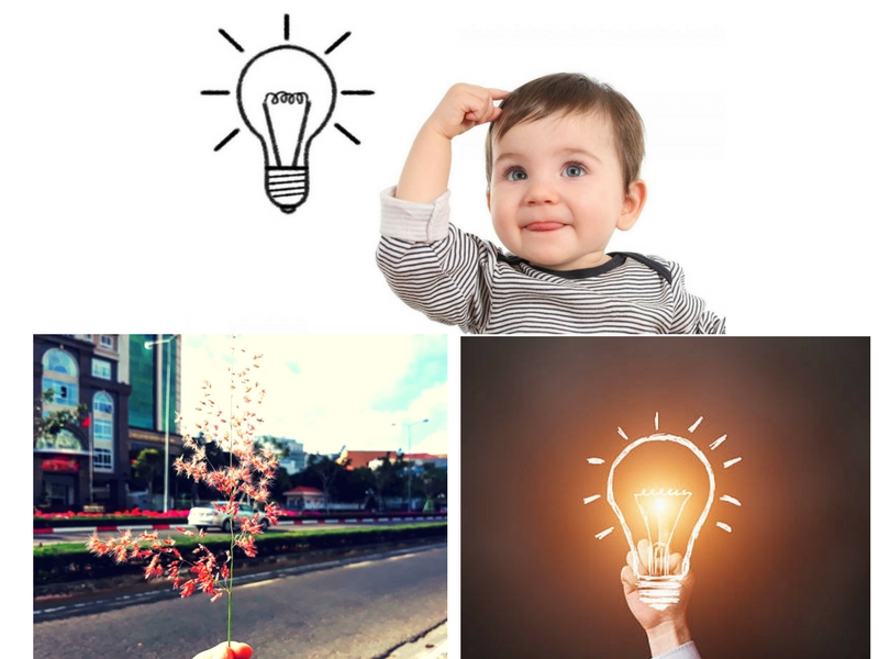 Chiến lược con nhím - Sử dụng sức mạnh của sự giản đơn để thành công