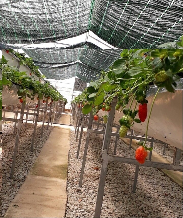 Lưới che nắng thái lan chất lượng lưới che nắng sân vườn,sân trường,sân bóng lưới che nắng bãi xe hồ bơi