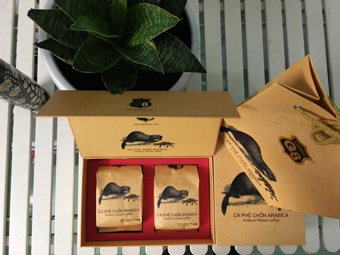 Cà phê Chồn ARABICA 100% đã qua đường tiêu hoá của Chồn có gì đặc biệt?