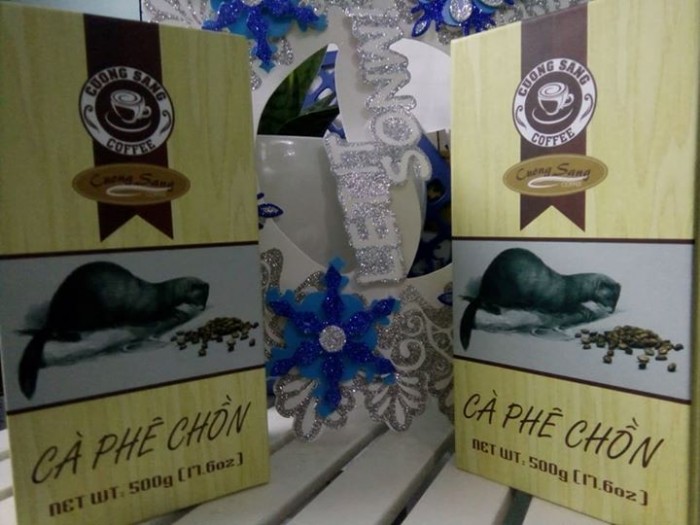 Cà phê Chồn ARABICA 100% đã qua đường tiêu hoá của Chồn có gì đặc biệt?