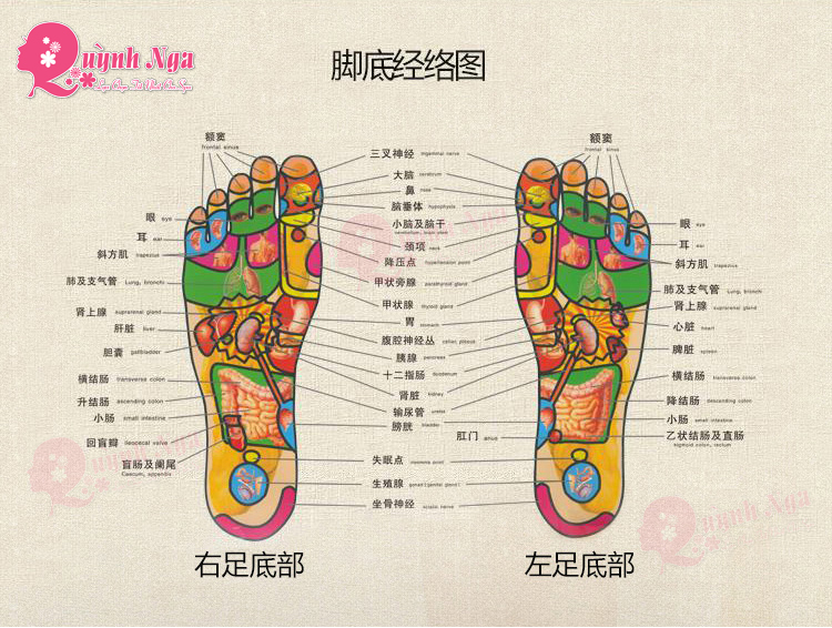 Ngâm chân có tác dụng gì?(2)