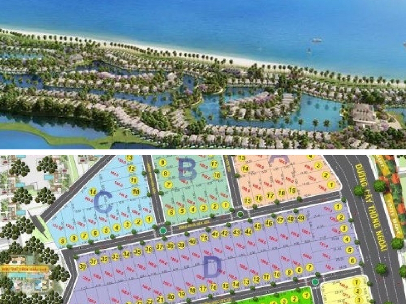 Nên mua đất Bình Chánh hay Long An?