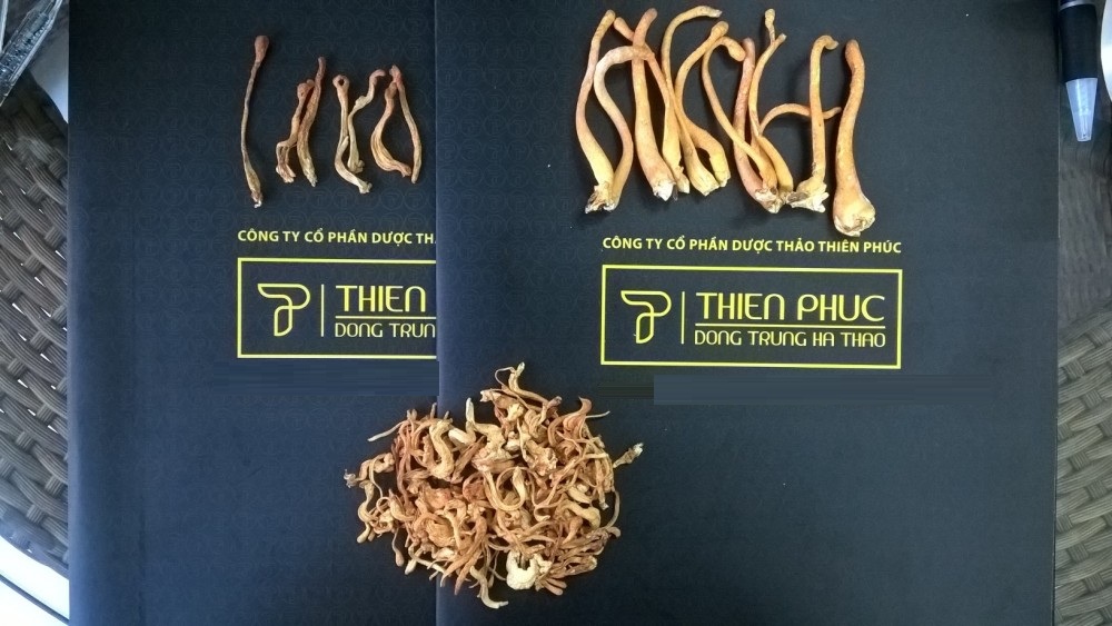 Công Ty TNHH Dược Phẩm Sinh Học Quốc Tế